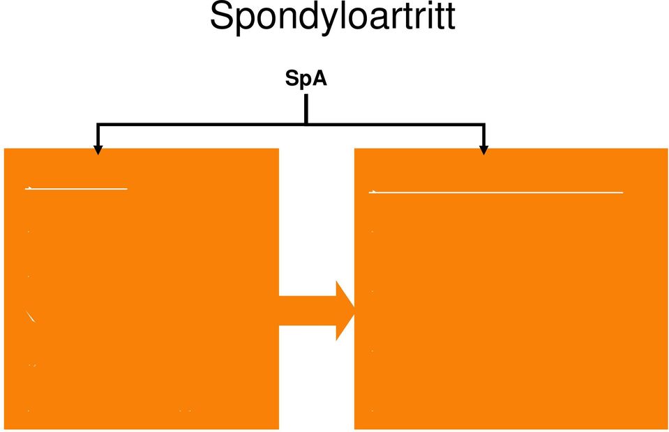 Undifferentiated SpA Clinical presentation Axial involvement
