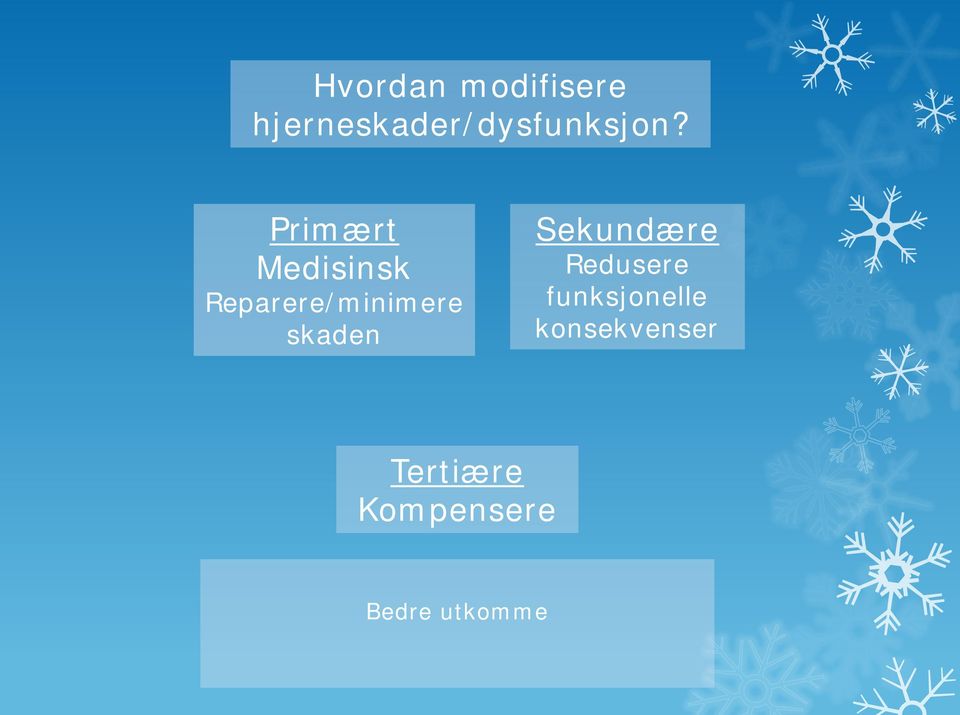 Primært Medisinsk Reparere/minimere