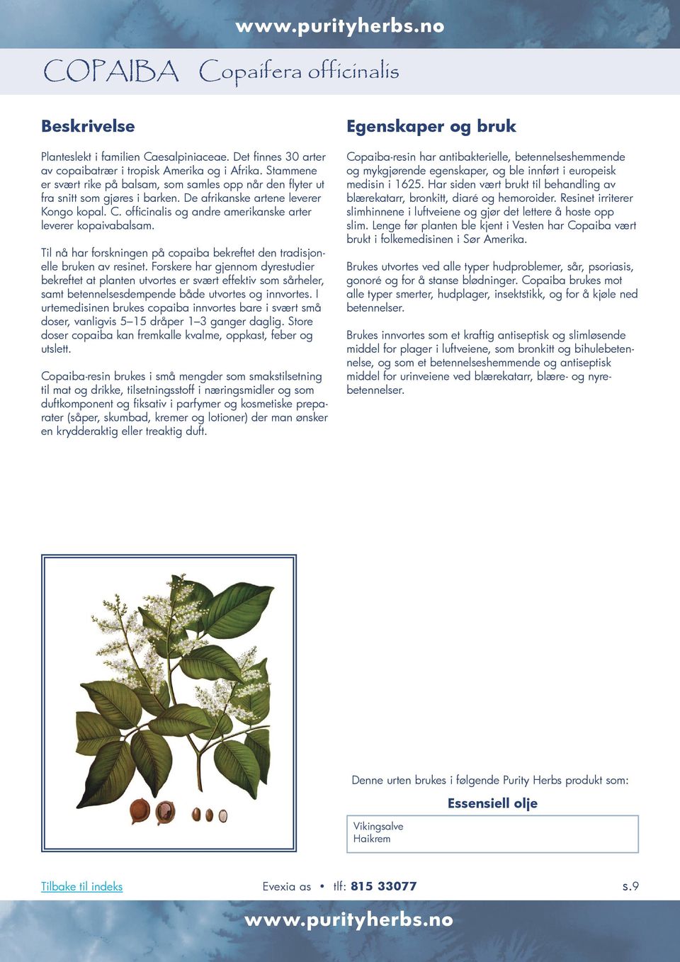 officinalis og andre amerikanske arter leverer kopaivabalsam. Til nå har forskningen på copaiba bekreftet den tradisjonelle bruken av resinet.