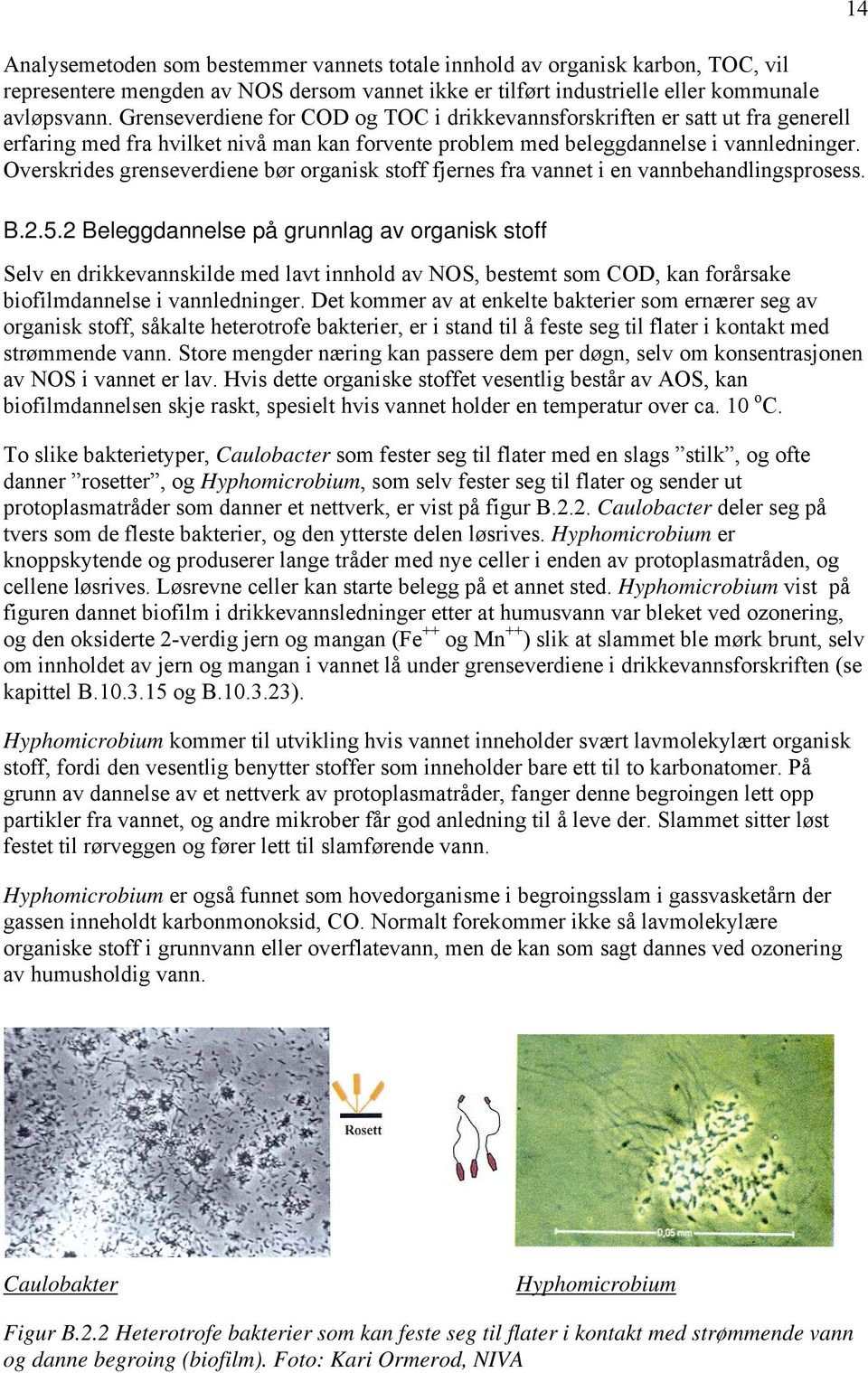 Overskrides grenseverdiene bør organisk stoff fjernes fra vannet i en vannbehandlingsprosess. B.2.5.