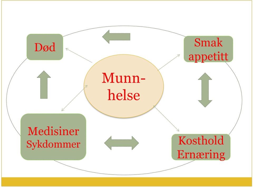 helse Medisiner