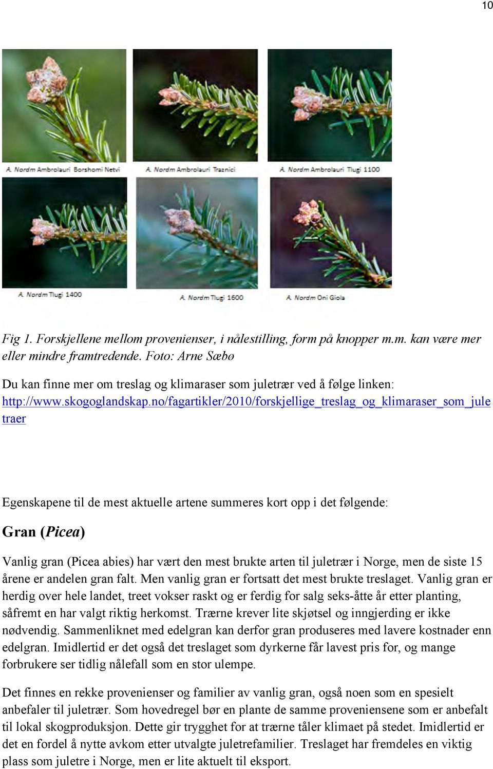 no/fagartikler/2010/forskjellige_treslag_og_klimaraser_som_jule traer Egenskapene til de mest aktuelle artene summeres kort opp i det følgende: Gran (Picea) Vanlig gran (Picea abies) har vært den