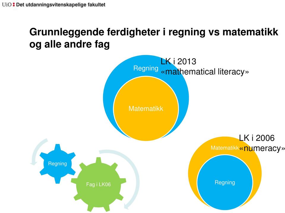 2013 «mathematical literacy» Matematikk