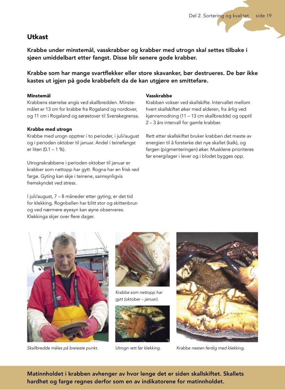 Minstemål Krabbens størrelse angis ved skallbredden. Minstemålet er 13 cm for krabbe fra Rogaland og nordover, og 11 cm i Rogaland og sørøstover til Svenskegrensa.