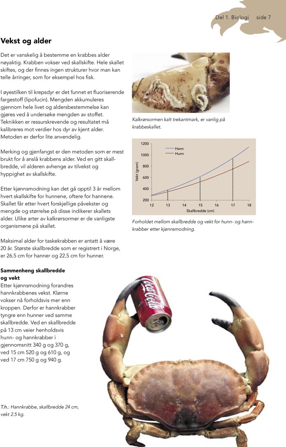 Mengden akkumuleres gjennom hele livet og aldersbestemmelse kan gjøres ved å undersøke mengden av stoffet. Teknikken er ressurskrevende og resultatet må kalibreres mot verdier hos dyr av kjent alder.