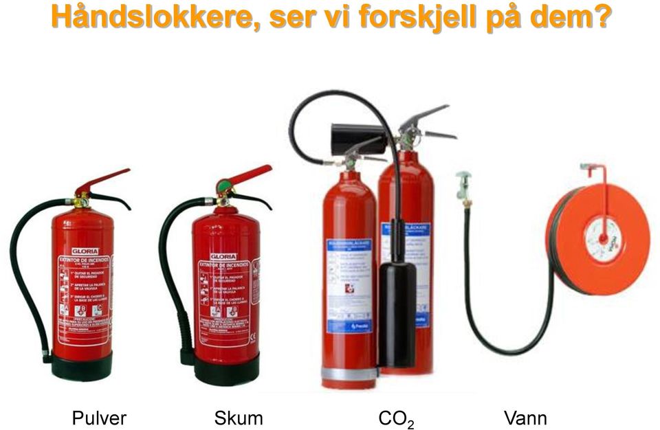 forskjell på