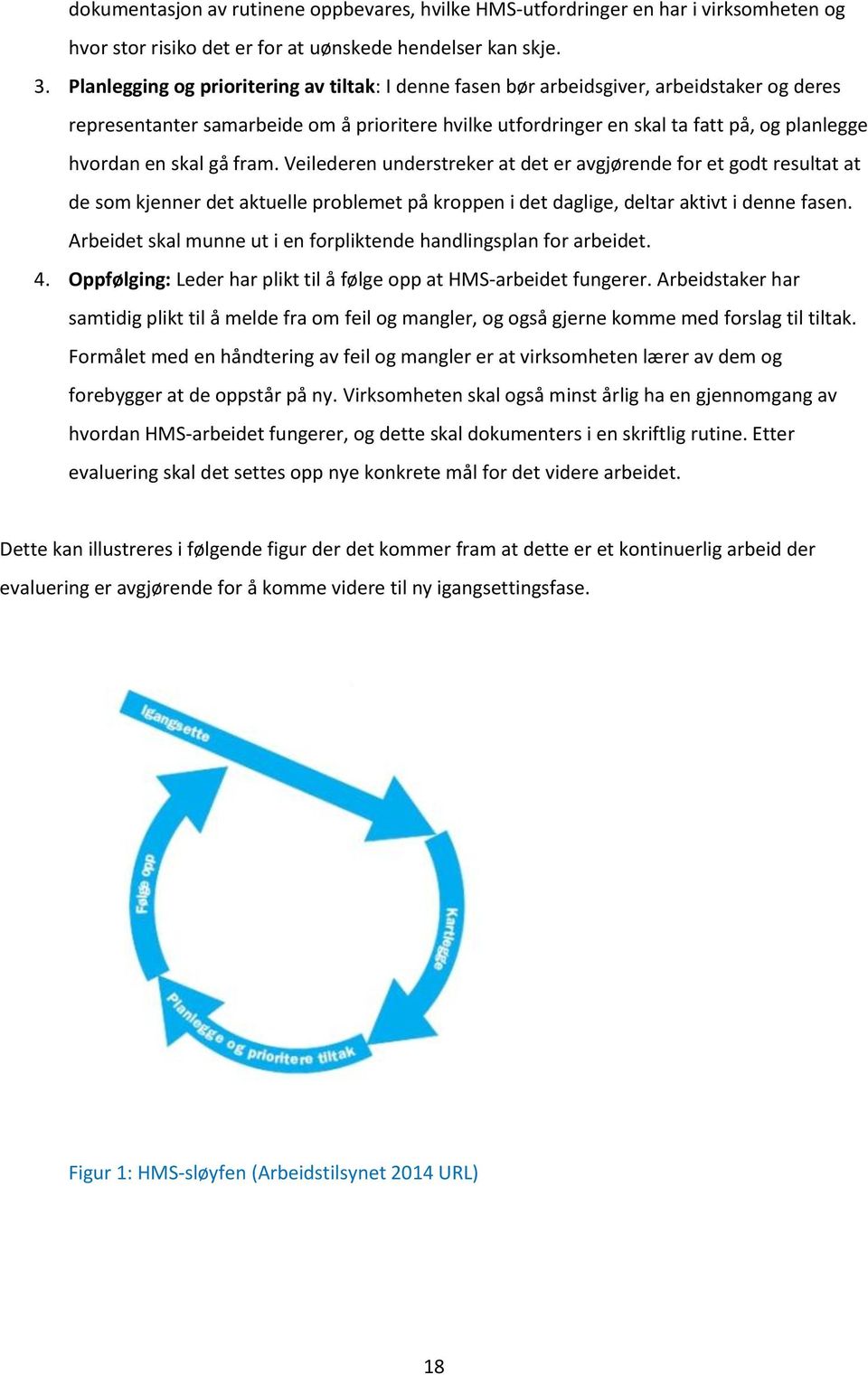 skal gå fram. Veilederen understreker at det er avgjørende for et godt resultat at de som kjenner det aktuelle problemet på kroppen i det daglige, deltar aktivt i denne fasen.