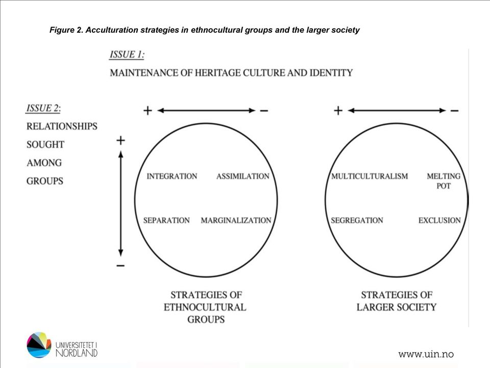 ethnocultural groups and the larger