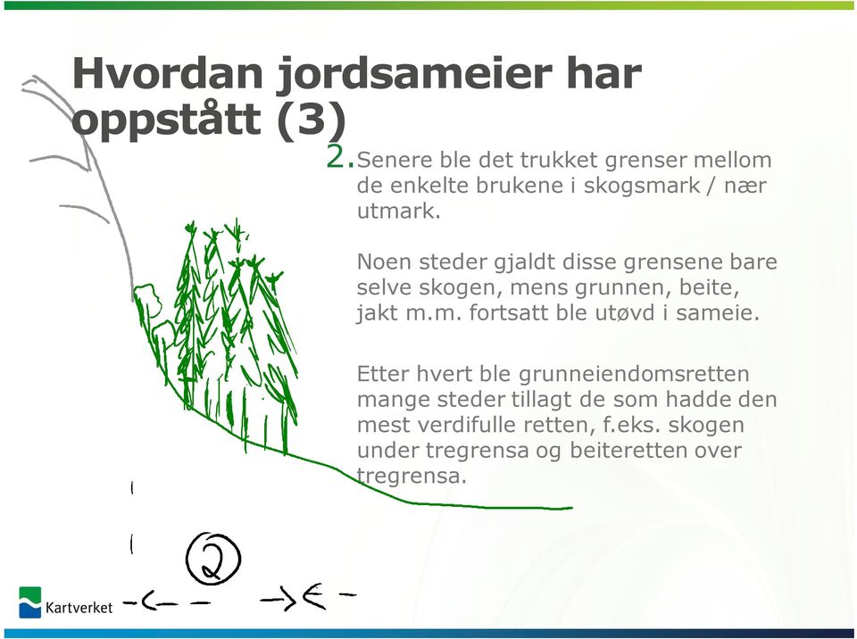 Noen steder gjaldt disse grensene bare selve skogen, mens grunnen, beite, jakt m.m. fortsatt ble utøvd i sameie.