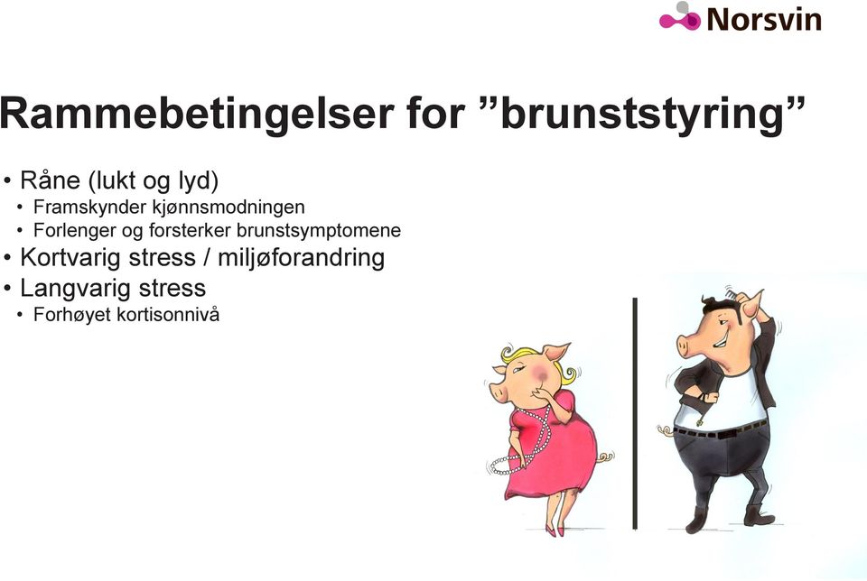 forsterker brunstsymptomene Kortvarig stress /