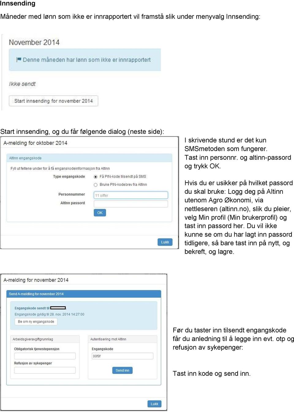 Hvis du er usikker på hvilket passord du skal bruke: Logg deg på Altinn utenom Agro Økonomi, via nettleseren (altinn.