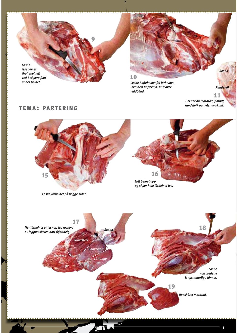 Skank Rundsteik 11 Her ser du mørbrad, flatbiff, rundsteik og deler av skank. 15 16 Løsne lårbeinet på begge sider.