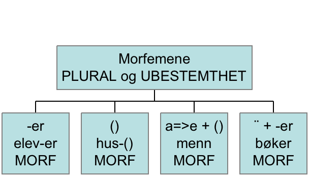 PLURAL + UBESTEMTHET