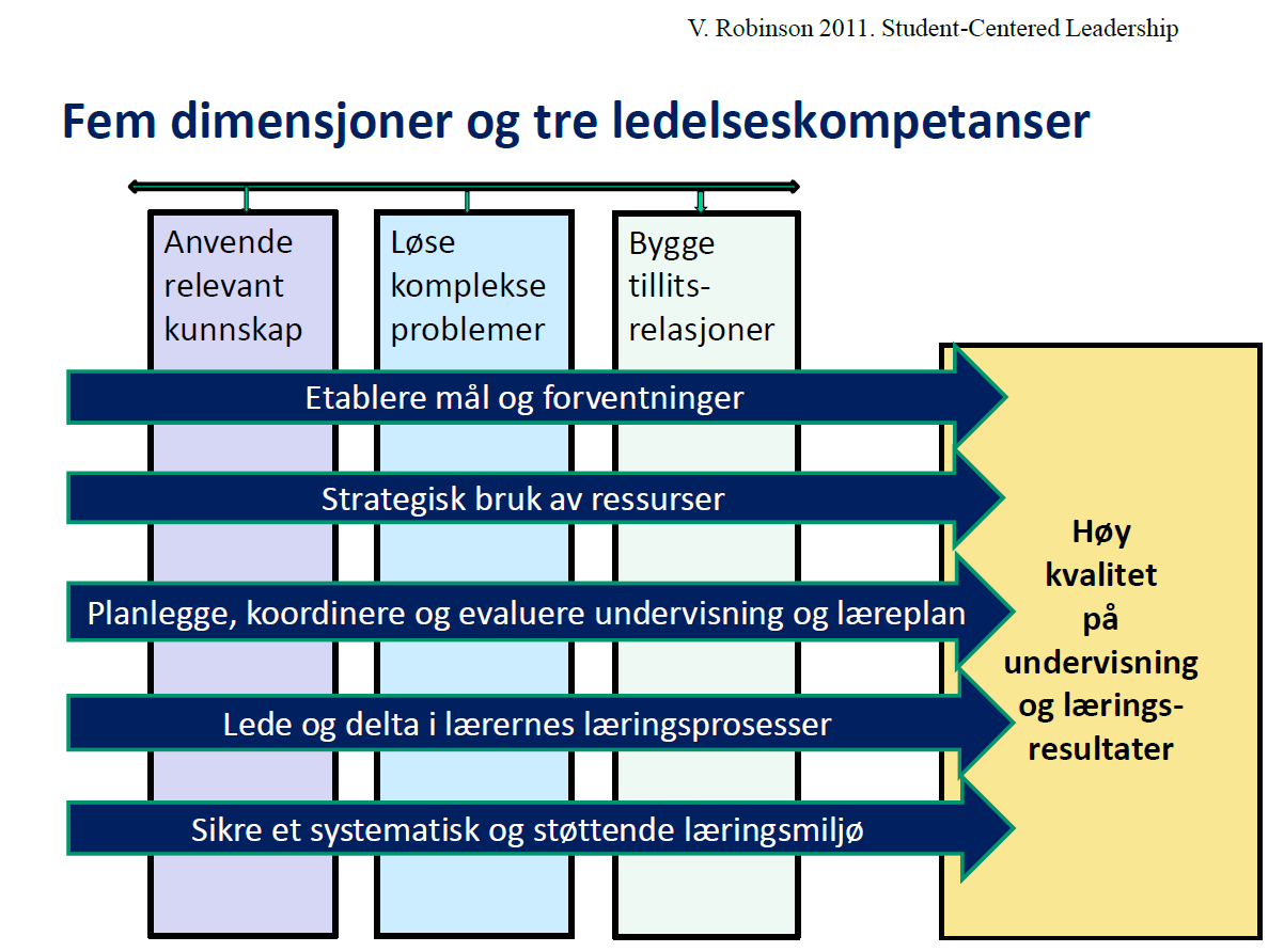 Fleire dimensjonar lærarar si individuelle læring