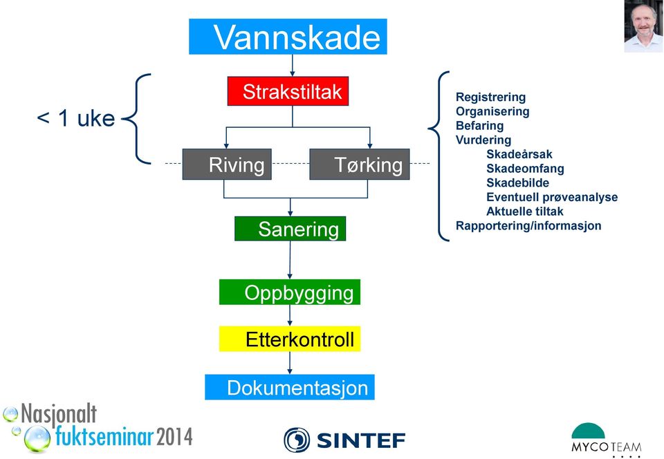 Skadeomfang Skadebilde Eventuell prøveanalyse Aktuelle