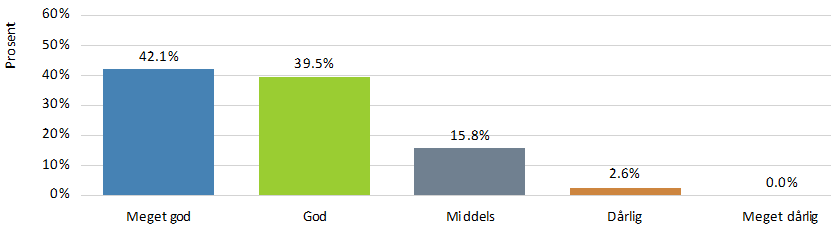 Del II, Fysisk helse GENERELL HELSE Hvordan er hundens generelle helse? 38 svarte på spørsmålet.