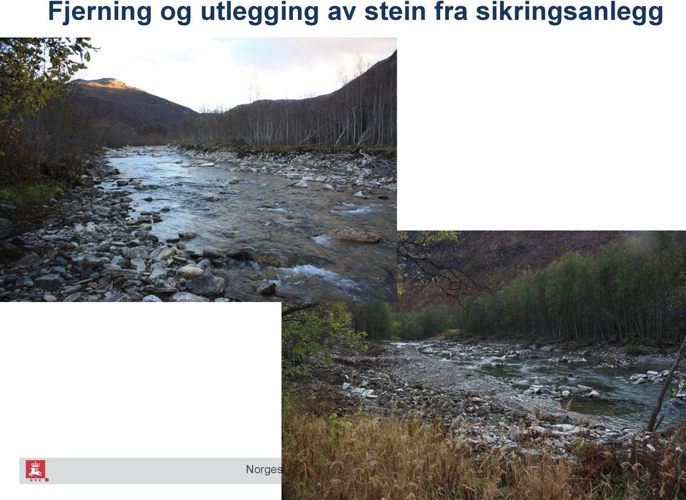 stein fra