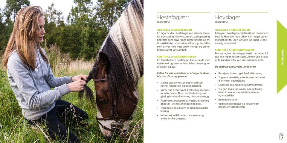 SENTRALE ARBEIDSOPPGAVER En fagarbeider i hestefaget kan arbeide med hestehold og bruk av hest både i næring, rekreasjon og avl.