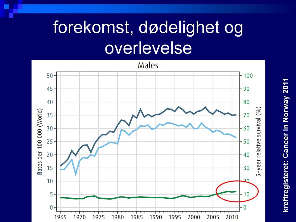 2011 forekomst,