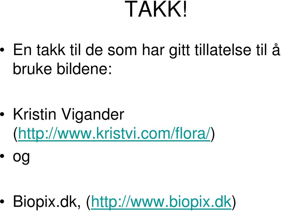 Kristin Vigander (http://www.kristvi.