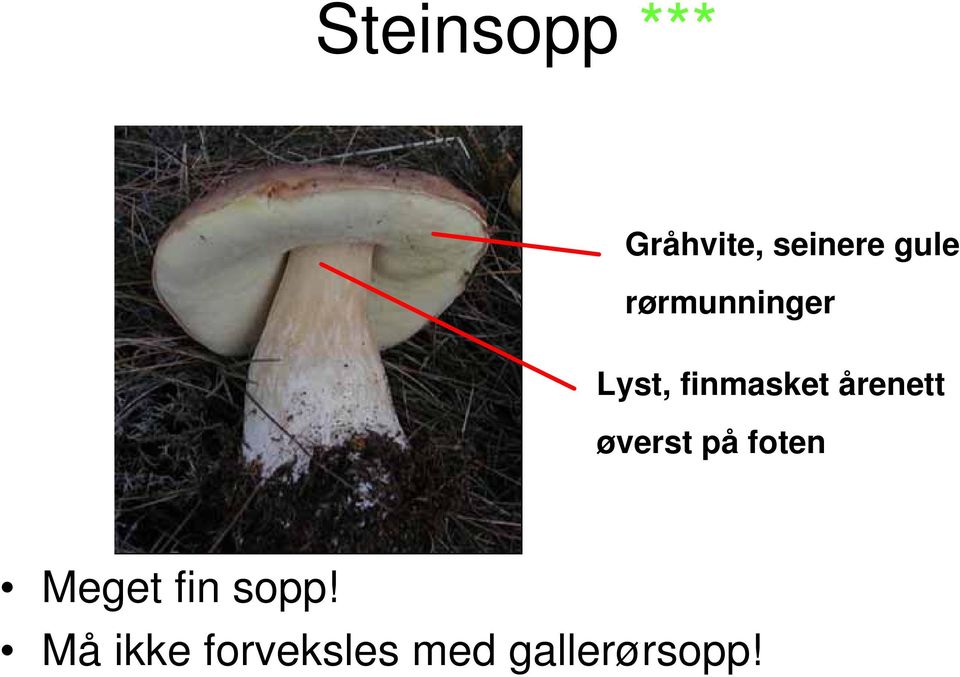 årenett øverst på foten Meget fin