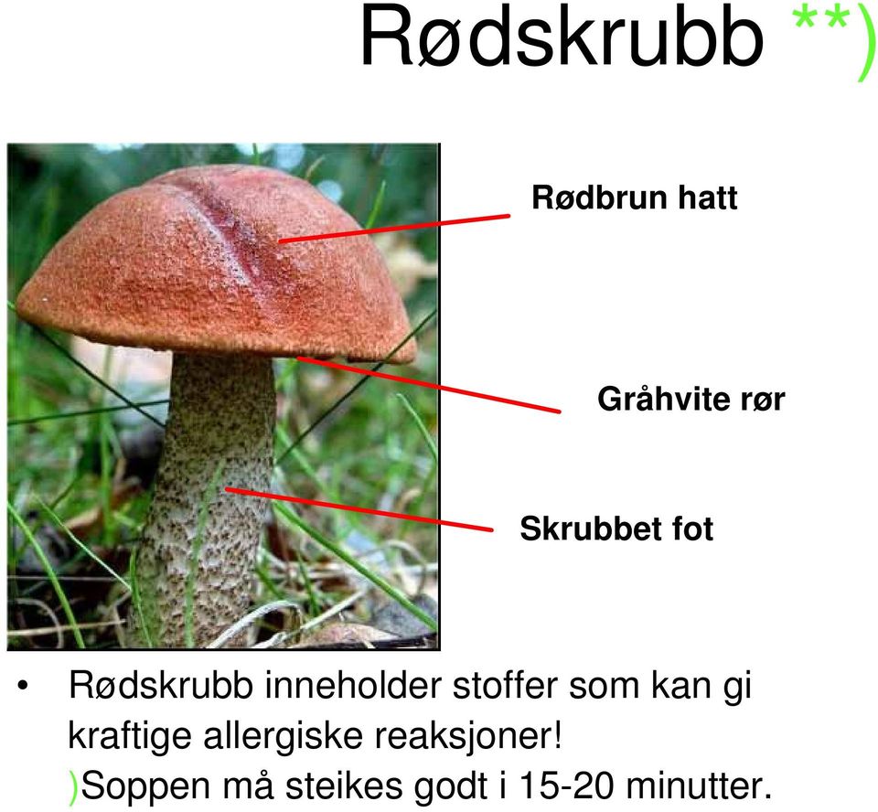 som kan gi kraftige allergiske reaksjoner!