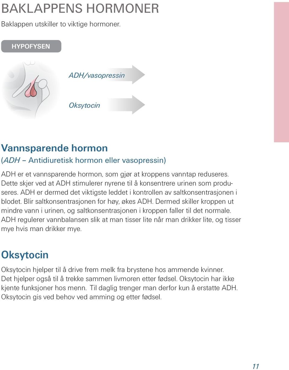 Dette skjer ved at ADH stimulerer nyrene til å konsentrere urinen som produseres. ADH er dermed det viktigste leddet i kontrollen av saltkonsentrasjonen i blodet.