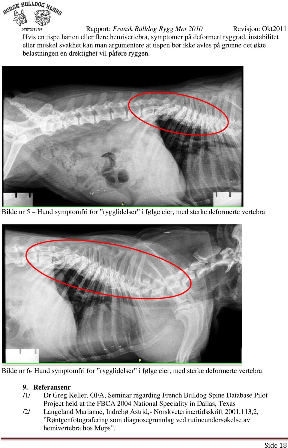 Bilde nr 5 Hund symptomfri for rygglidelser i følge eier, med sterke deformerte vertebra Bilde nr 6- Hund symptomfri for rygglidelser i følge eier, med sterke deformerte vertebra 9.
