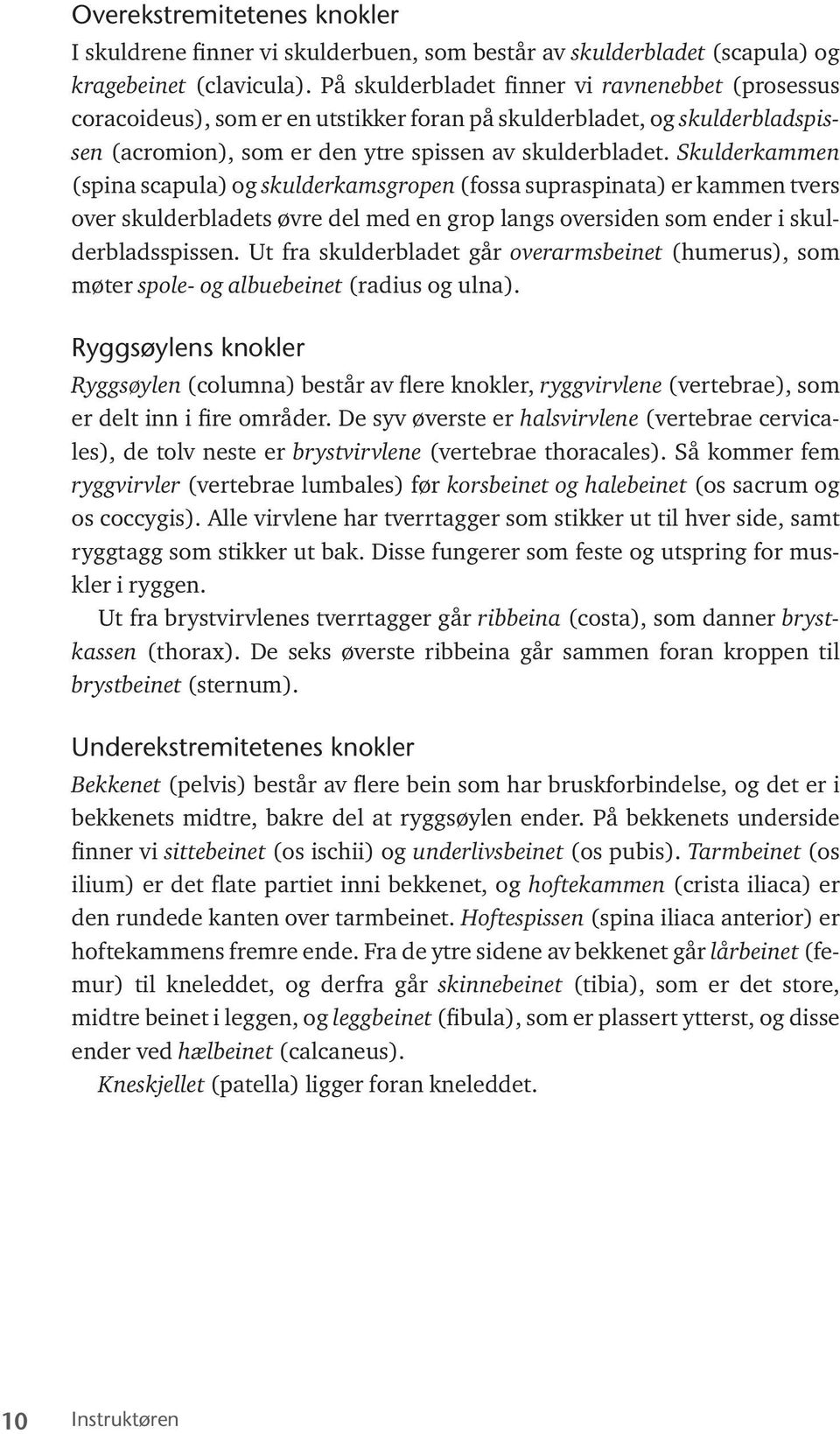 Skulderkammen (spina scapula) og skulderkamsgropen (fossa supraspinata) er kammen tvers over skulderbladets øvre del med en grop langs oversiden som ender i skulderbladsspissen.