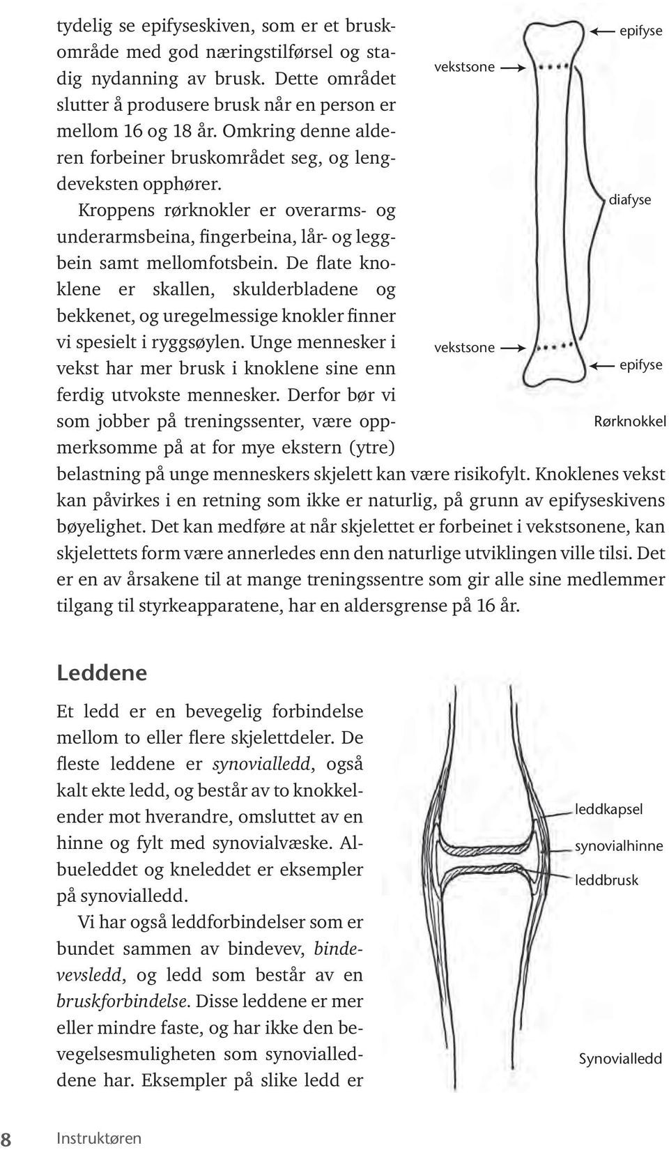 De flate knoklene er skallen, skulderbladene og bekkenet, og uregelmessige knokler finner vi spesielt i ryggsøylen.