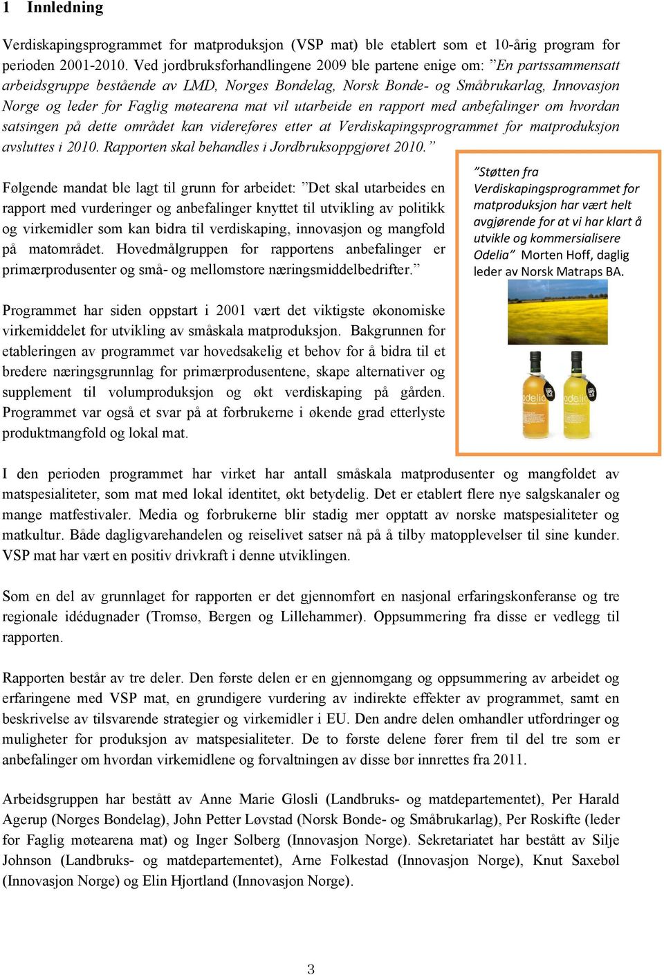 mat vil utarbeide en rapport med anbefalinger om hvordan satsingen på dette området kan videreføres etter at Verdiskapingsprogrammet for matproduksjon avsluttes i 2010.