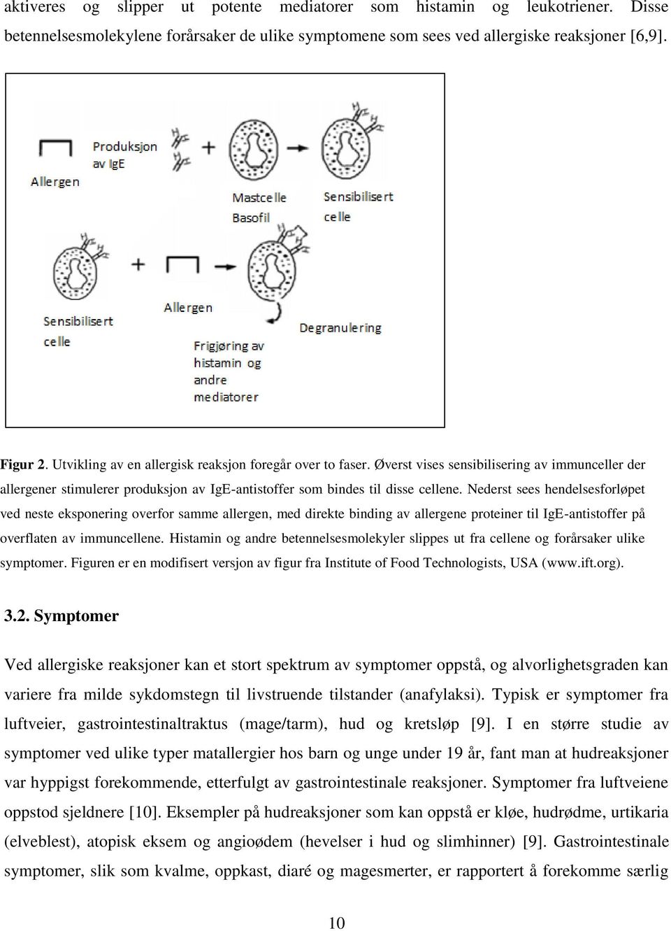 Nederst sees hendelsesforløpet ved neste eksponering overfor samme allergen, med direkte binding av allergene proteiner til IgE-antistoffer på overflaten av immuncellene.