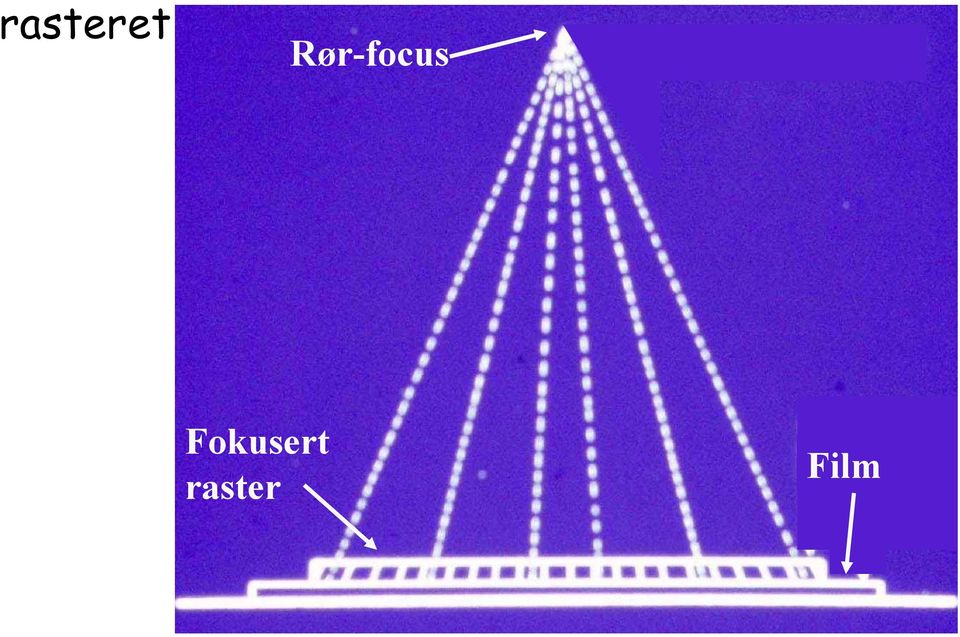 Fokusert