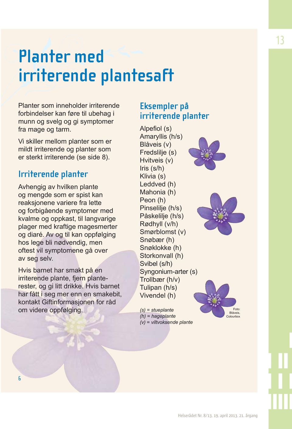 13 Irriterende planter