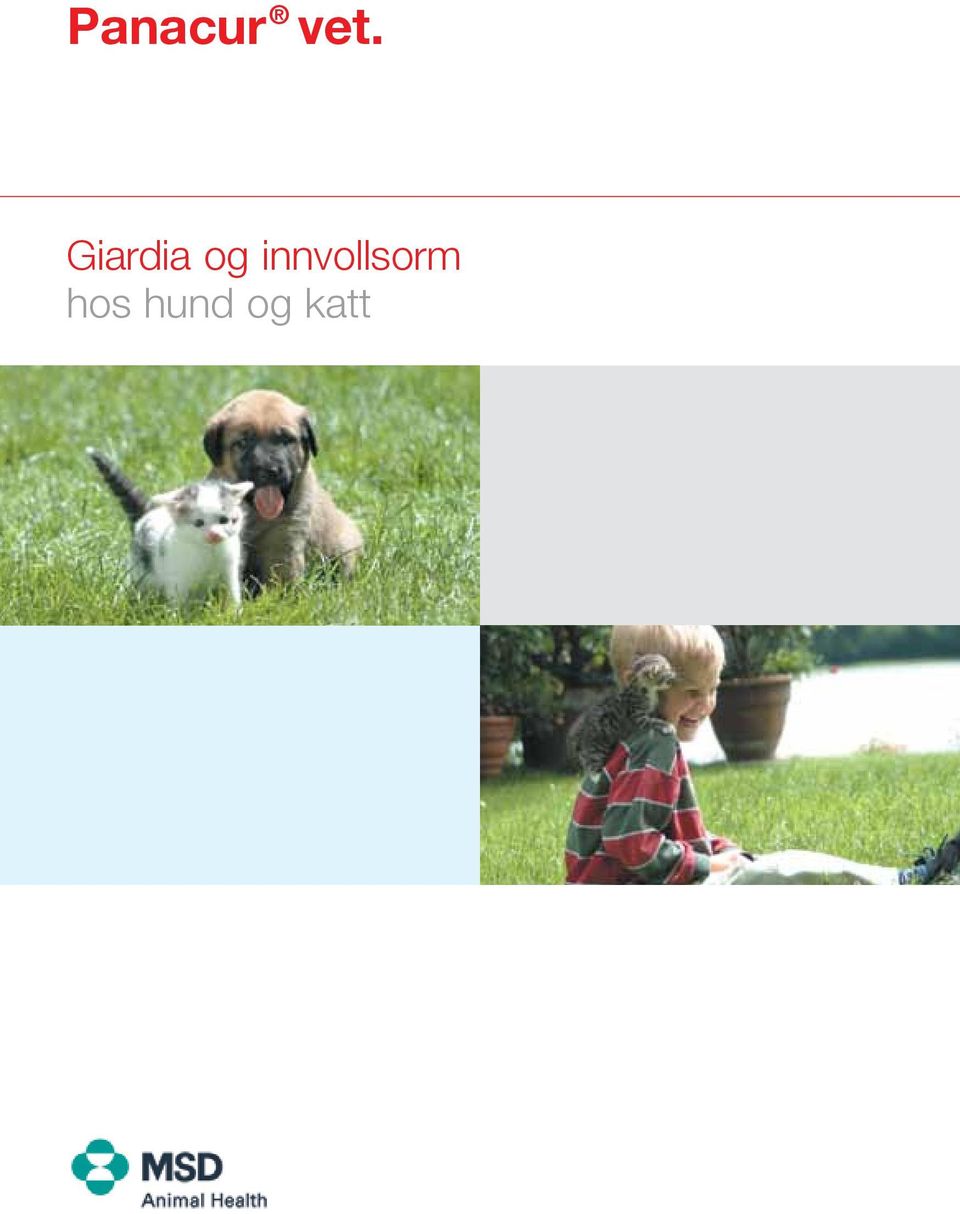 Panacur vet. Giardia og innvollsorm hos hund og katt - PDF Free Download