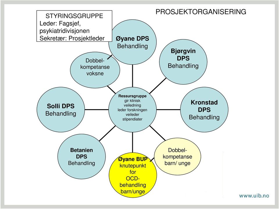 Ressursgruppe gir klinisk veiledning leder forskningen veileder stipendiater Kronstad DPS