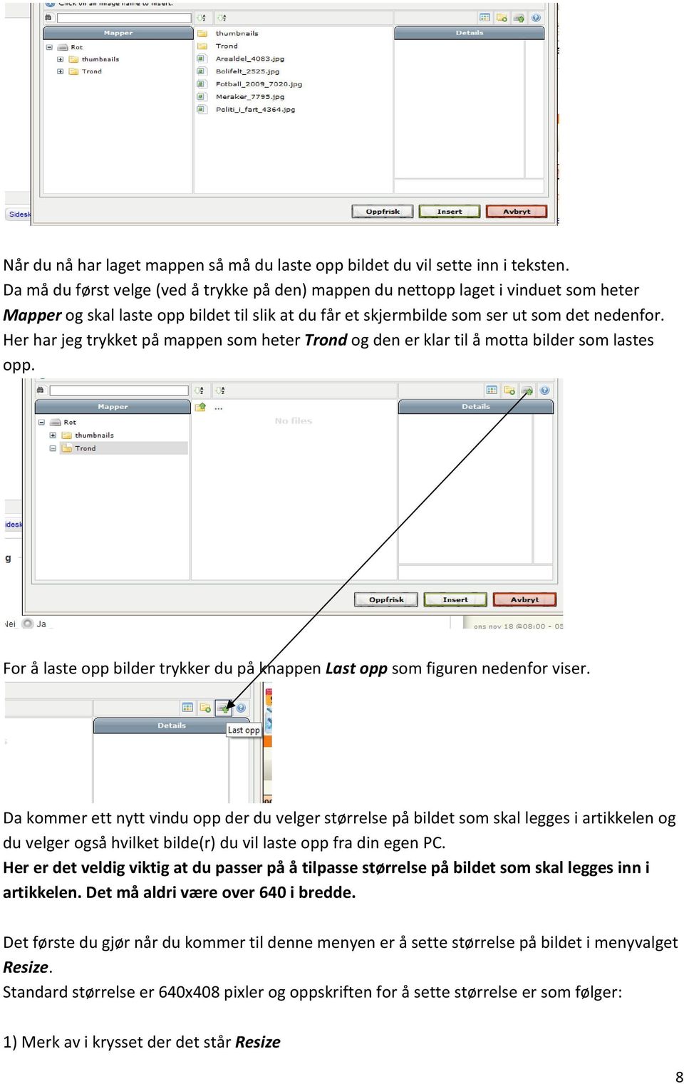 Her har jeg trykket på mappen som heter Trond og den er klar til å motta bilder som lastes opp. For å laste opp bilder trykker du på knappen Last opp som figuren nedenfor viser.