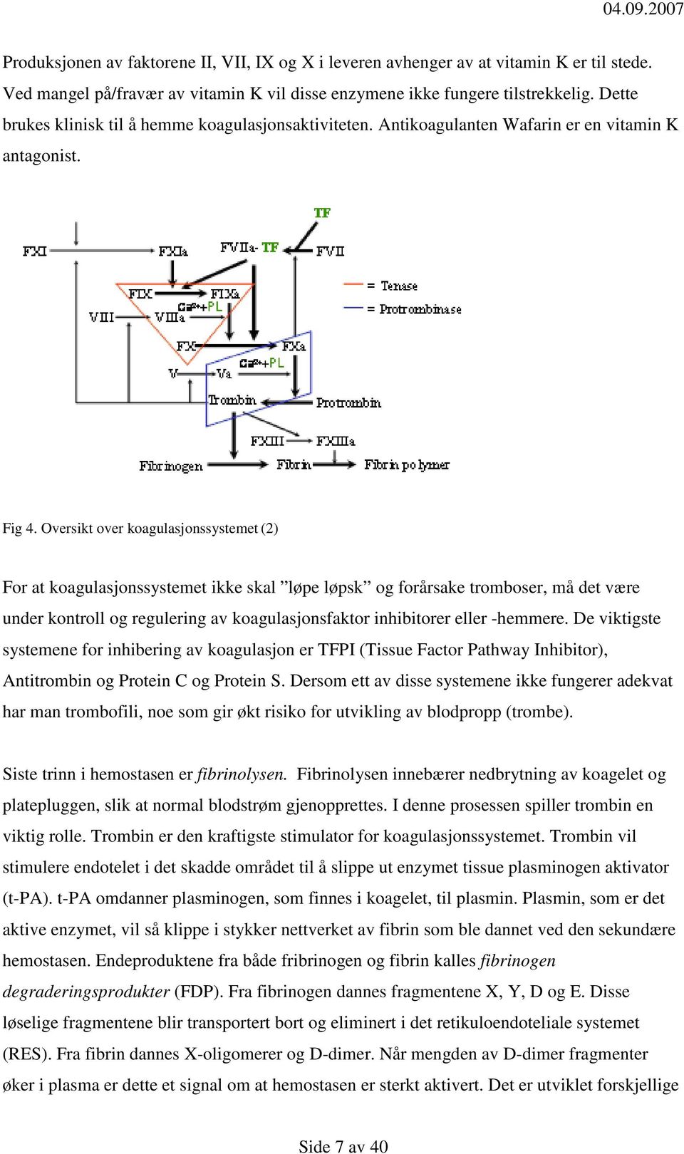 Oversikt over koagulasjonssystemet (2) For at koagulasjonssystemet ikke skal løpe løpsk og forårsake tromboser, må det være under kontroll og regulering av koagulasjonsfaktor inhibitorer eller