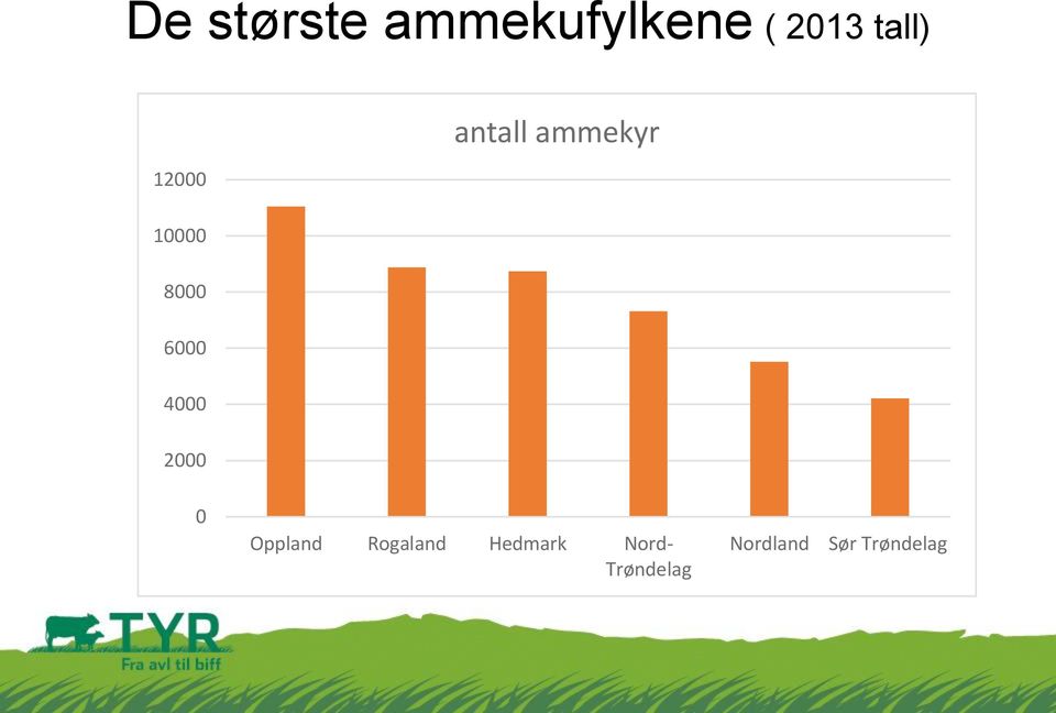 antall ammekyr 0 Oppland Rogaland