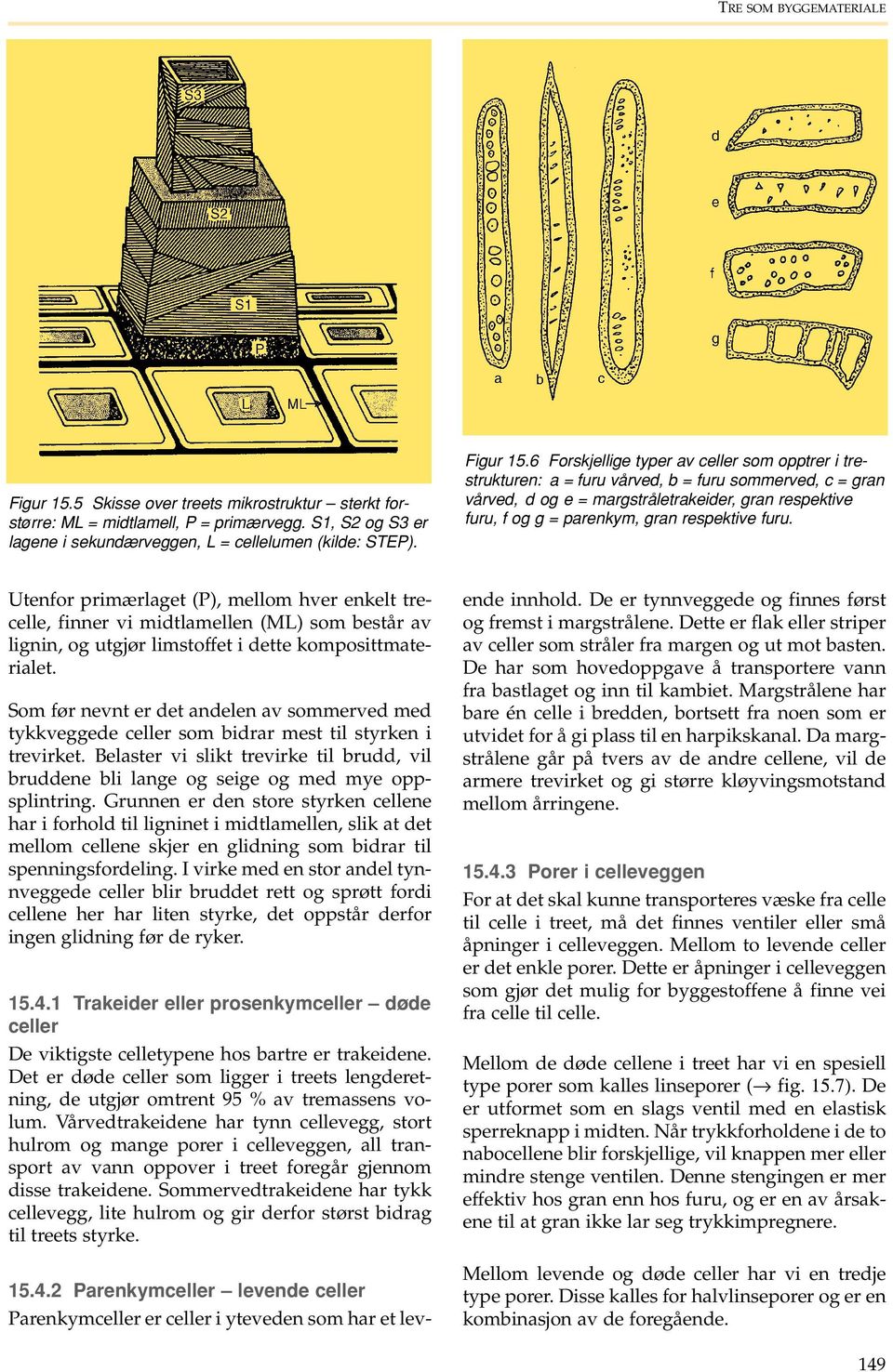 6 Forskjellige typer av celler som opptrer i trestrukturen: a = furu vårved, b = furu sommerved, c = gran vårved, d og e = margstråletrakeider, gran respektive furu, f og g = parenkym, gran