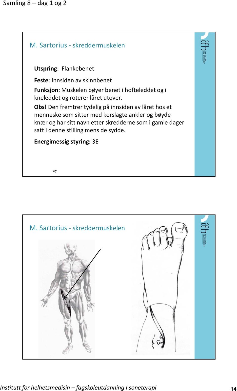 Den fremtrer tydelig på innsiden av låret hos et menneske som sitter med korslagte ankler og bøyde knær og har sitt navn