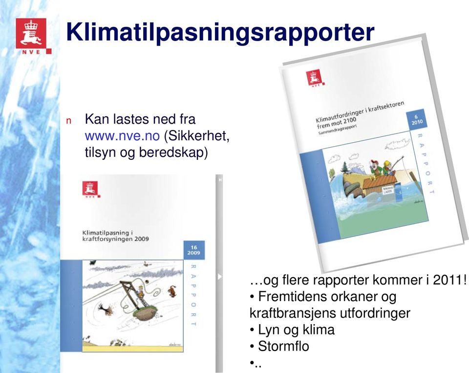 rapporter kommer i 2011!