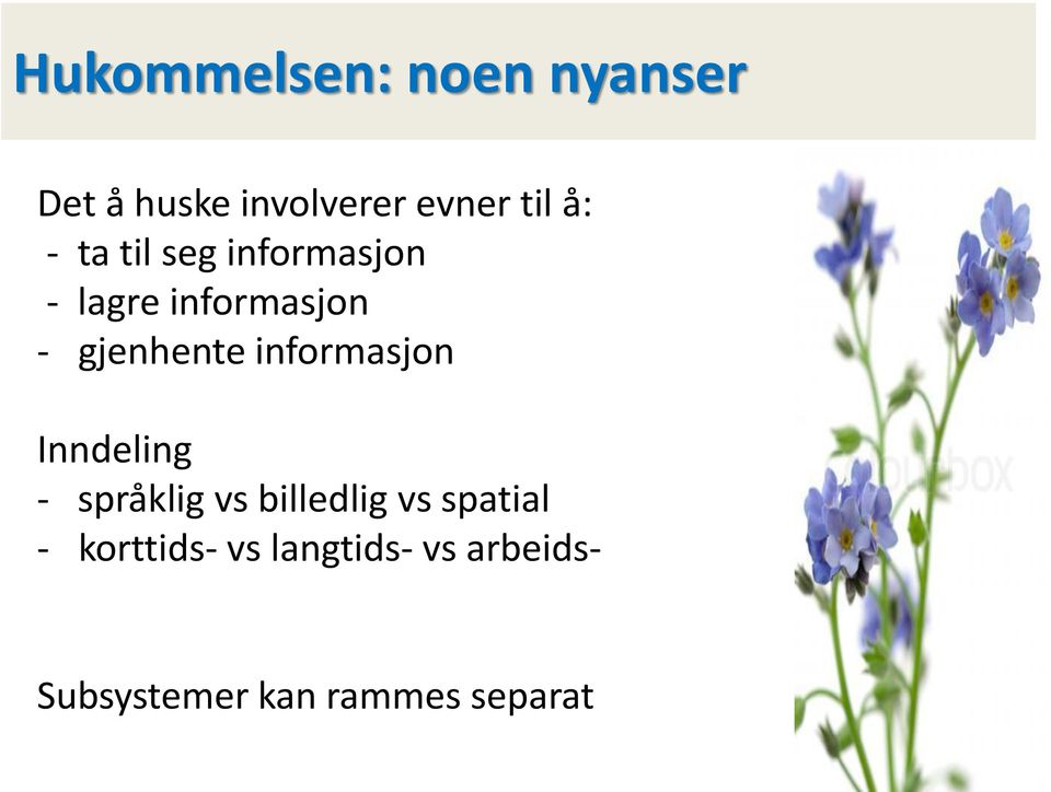 informasjon Inndeling - språklig vs billedlig vs spatial -