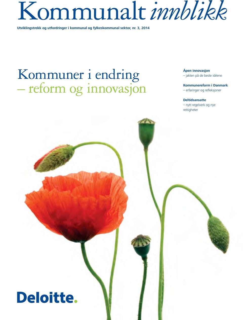 3, 2014 Kommuner i endring reform og innovasjon Åpen innovasjon jakten