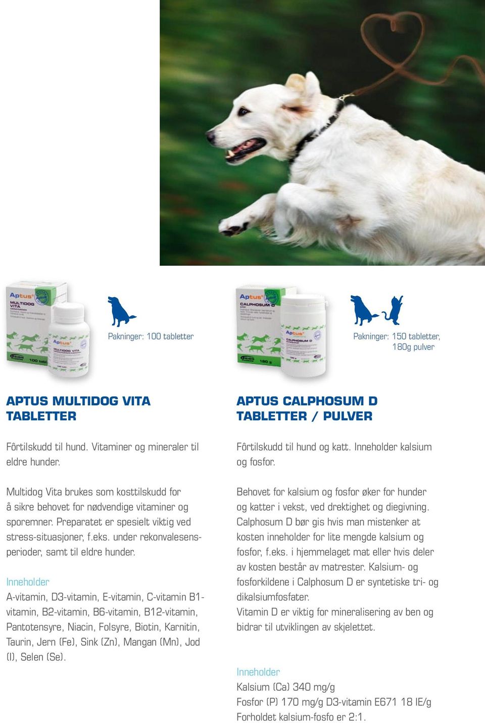 helse og trivsel for hund og katt - PDF Free Download