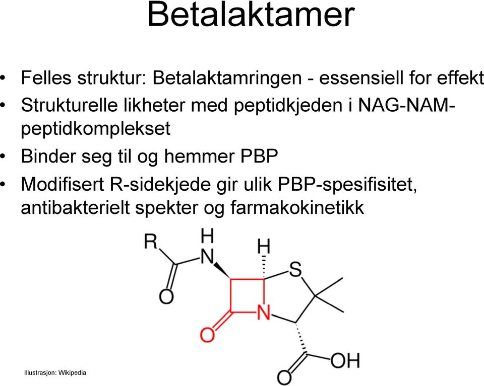 NAG-NAMpeptidkomplekset Binder seg til og hemmer PBP Modifisert