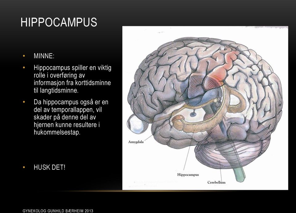 Da hippocampus også er en del av temporallappen, vil skader
