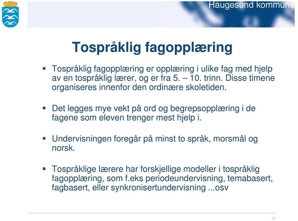 Det legges mye vekt på ord og begrepsopplæring i de fagene som eleven trenger mest hjelp i.