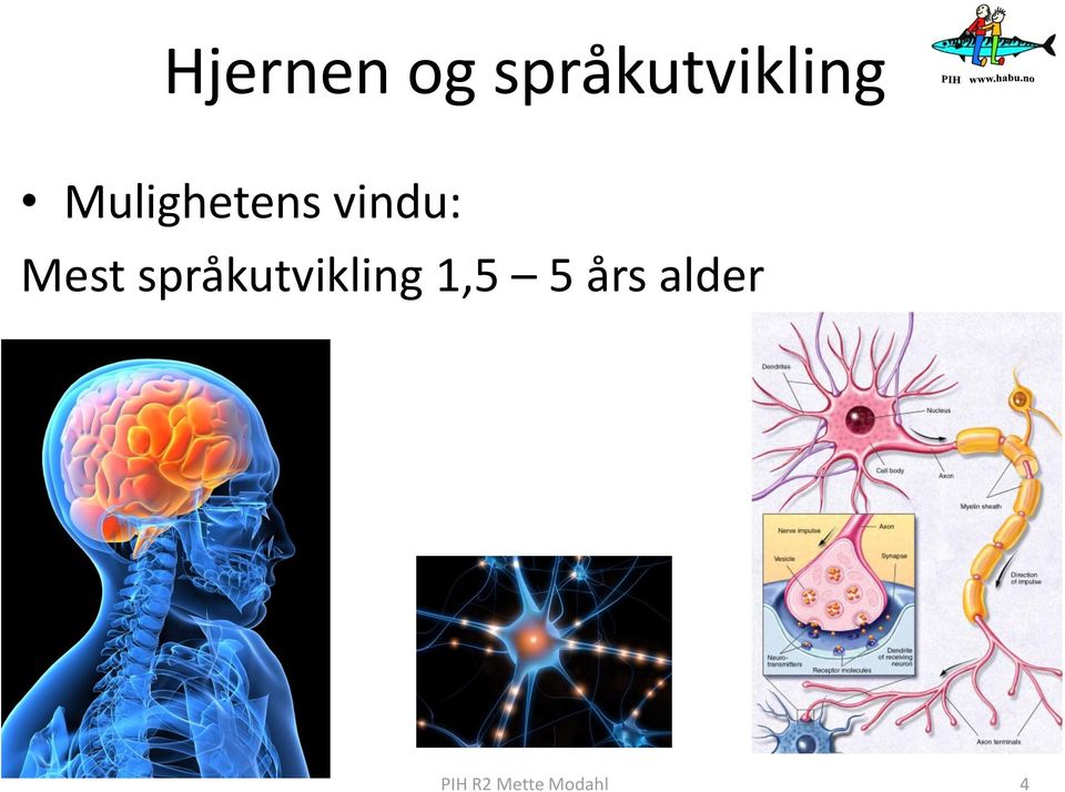 språkutvikling 1,5 5 års