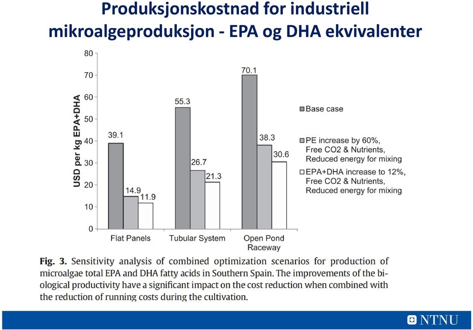 mikroalgeproduksjon